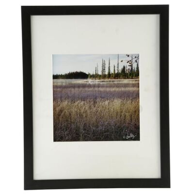 THE TWILIGHT SAGA: NEW MOON (2009) - Swan Home Framed Picture